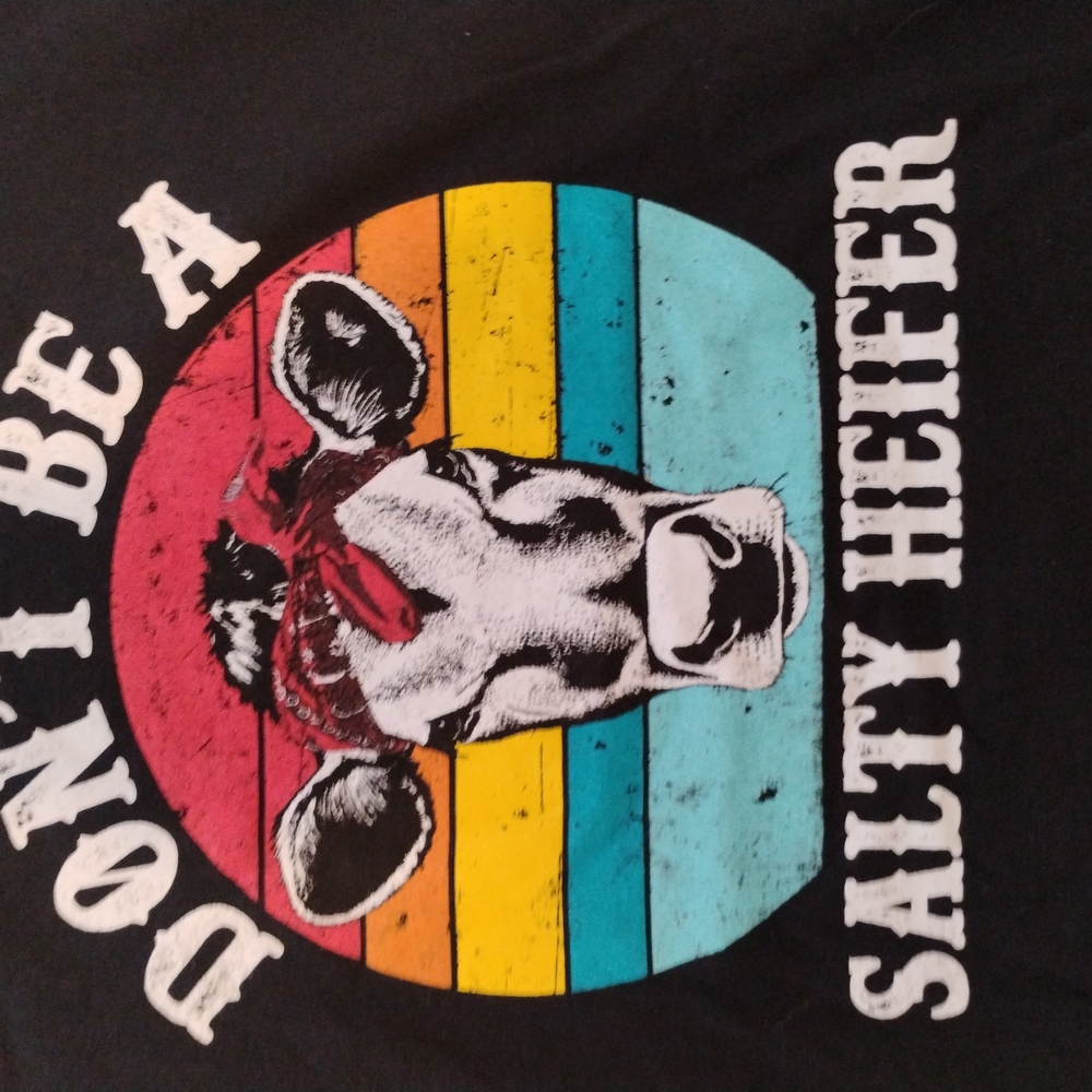 Graphic Tee with Cow and Rainbow Stripes Dont Be A Salty Hefier
